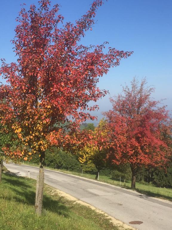 Appartamento Koessl