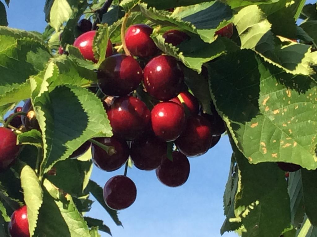 Koessl Appartamento