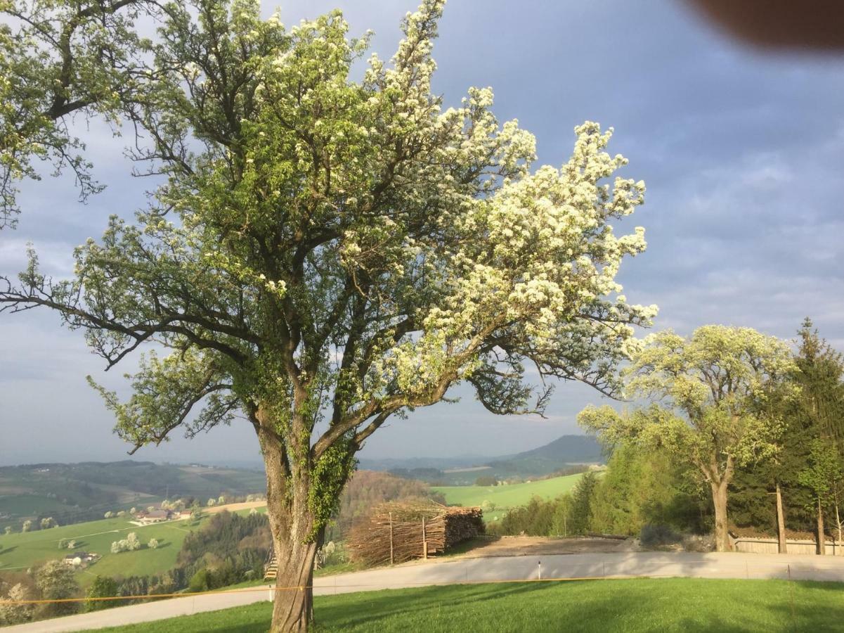 Koessl Appartamento Waidhofen an der Ybbs