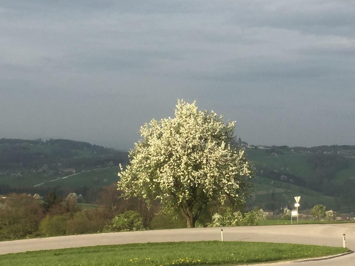Koessl Appartamento Waidhofen an der Ybbs