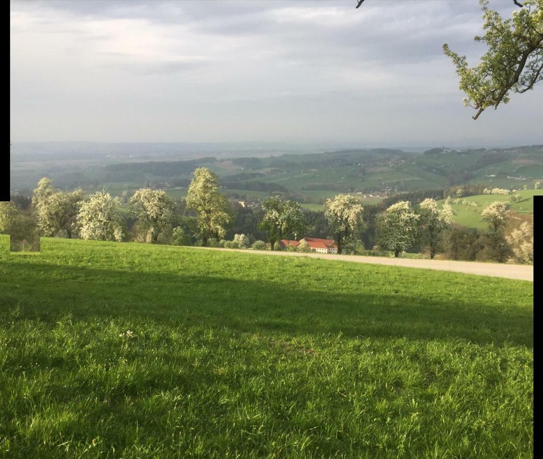 Koessl Appartamento Waidhofen an der Ybbs