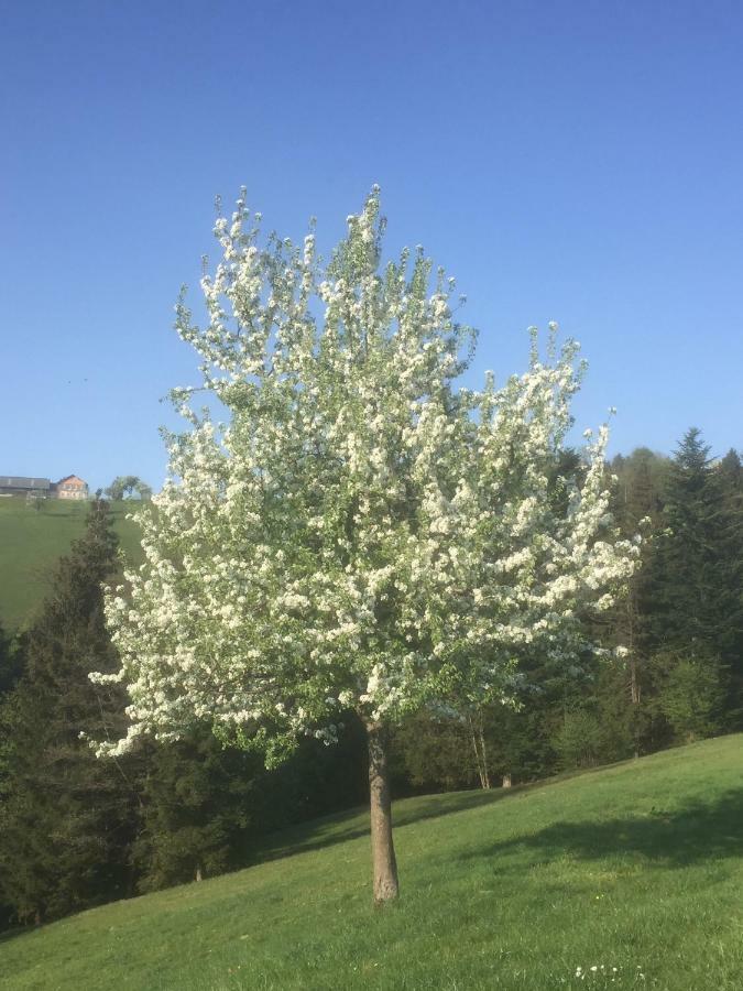 Koessl Waidhofen an der Ybbs