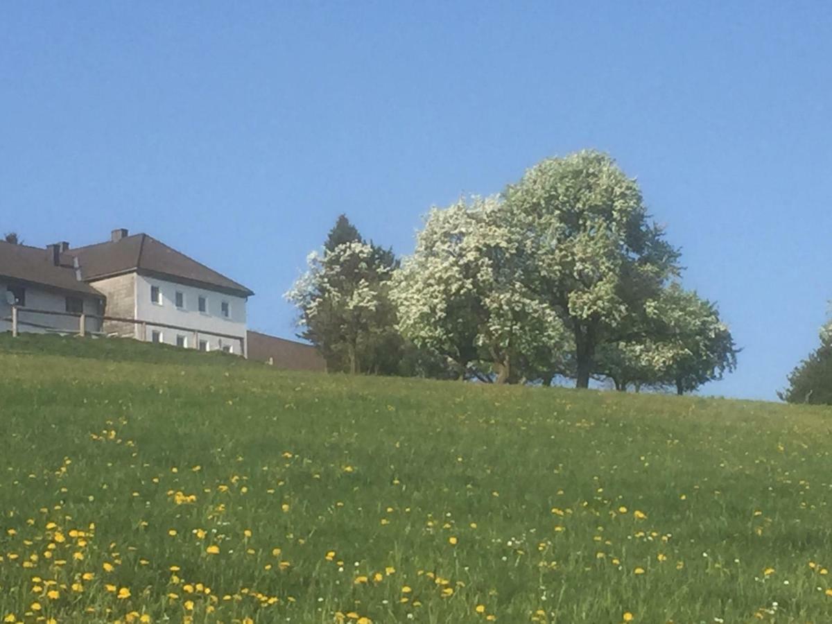 Apartment Koessl *